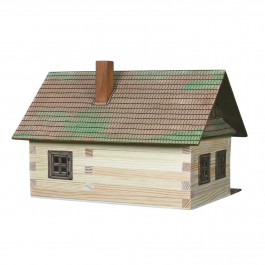 LESENA HIŠA, 100 kosov